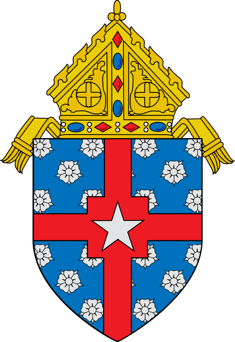 Roman Catholic Archdiocese Of Galveston Houston - Diocese Of San Bernardino Logo (800x1166)