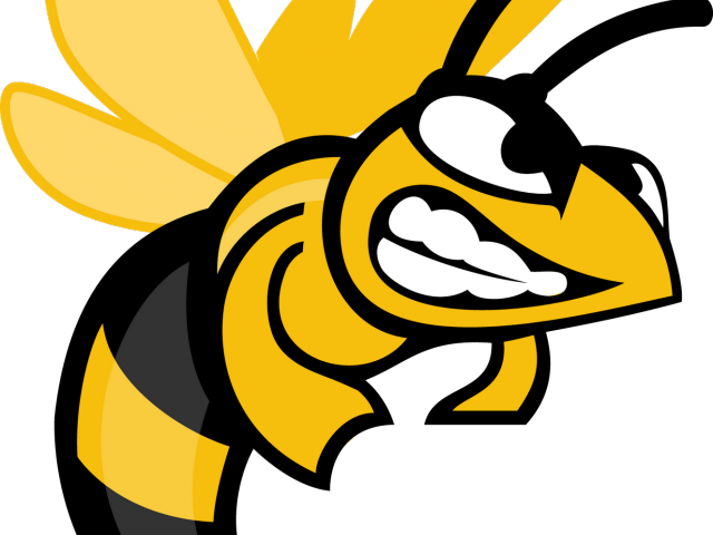 Hornet Clipart Georgia Tech - Suny Broome Community College (640x480)
