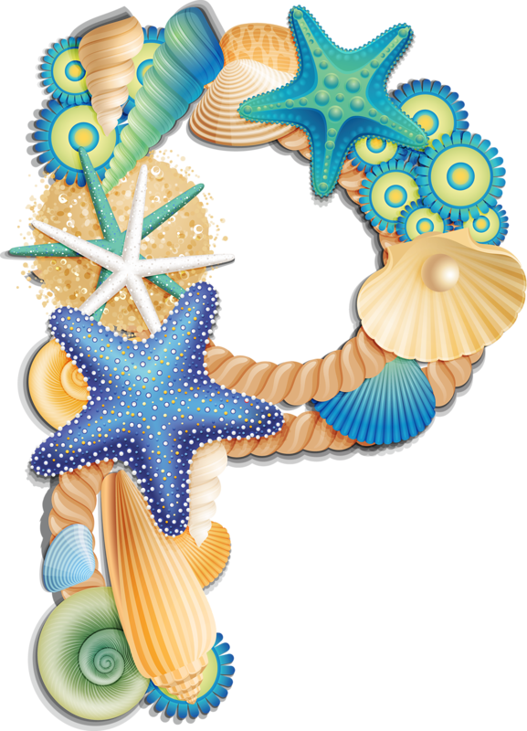 Фото, Автор Arana На Яндекс - Seashells Clipart (577x800)