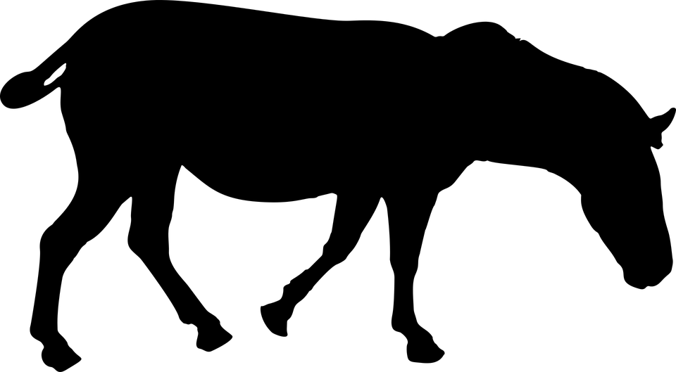 Baby Zebra Silhouette Download - Silhouette Zebra (960x529)