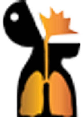 Lava Lung - Lava Lung (400x400)