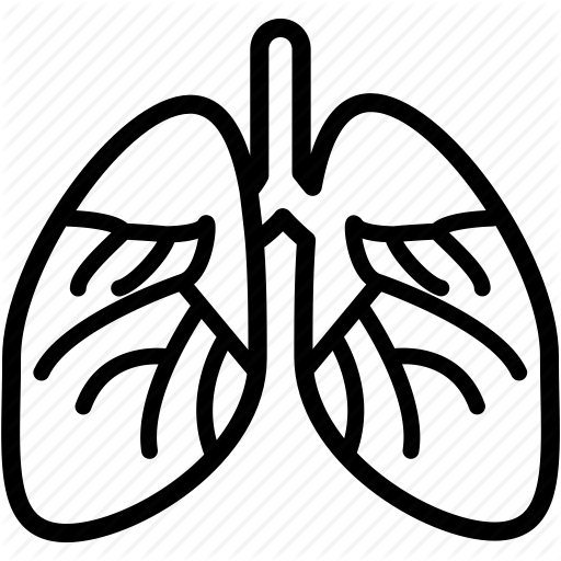 Svg Freeuse Stock Medical Healthcare By Smart - Cardiology (512x512)