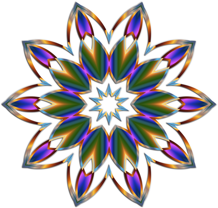 All Photo Png Clipart - Flower (788x750)