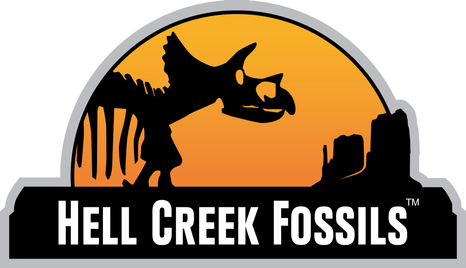 Fossil Clipart Archeologist - Graphic Design (1500x865)