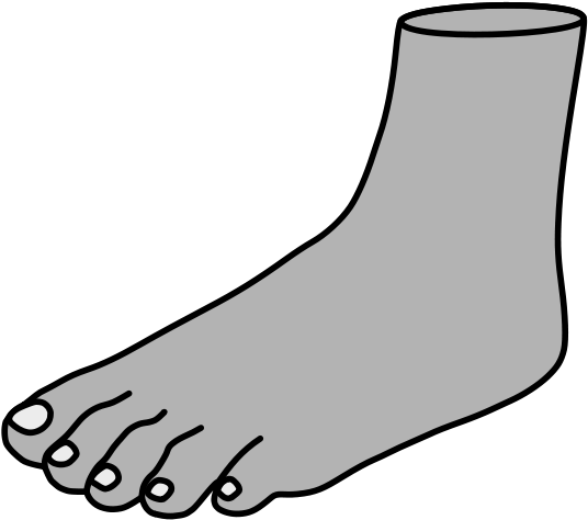Foot Clip Art Free Clip Art Foot By Alastairjtp - Clip Art (566x800)