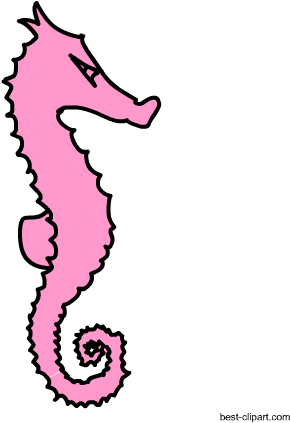 Free Pink Sea Horse Clipart Image - Northern Seahorse (450x450)