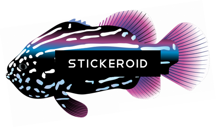 Ocean Fish - Decal Tropical Fish Aquarium Car Window Jet Ski D217 (737x434)