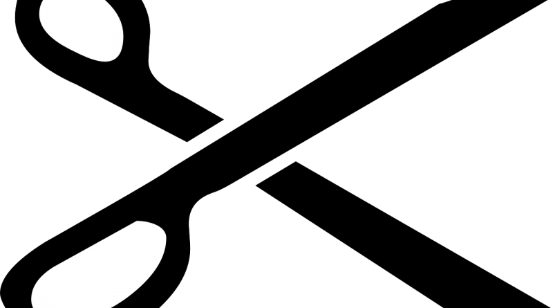 Best Professional Hair Shears - Hair-cutting Shears (800x445)