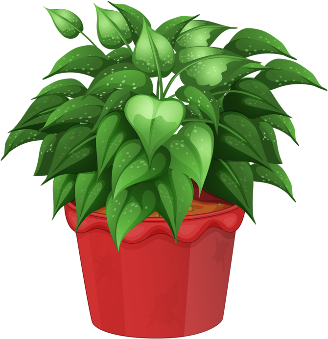 Pot Image, Flower Clipart, Flower Pots, Potted Flowers, - Flower Pot Vector Png (670x691)