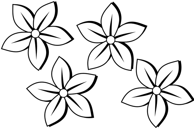 Clipart Sunflower Black And White - Black And White Flowers Clip Art (797x526)