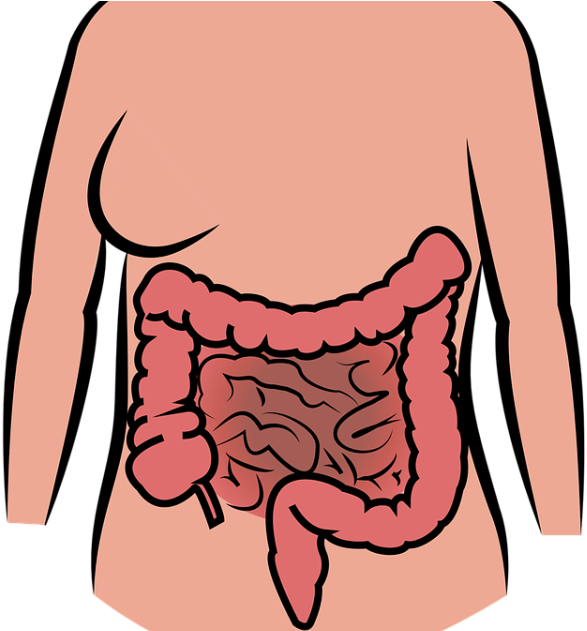 Happens If Your Lungs Are Not Functioning (1200x630)