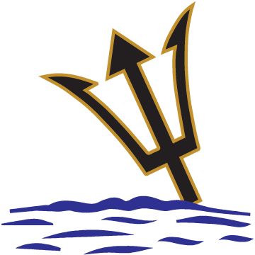 Trident Marine Completes A New Generator System In - Trident (360x360)