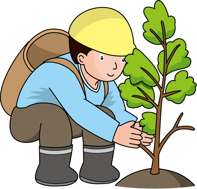 林業 イラスト Clipart Tree Afforestation Forestry - 植林 イラスト フリー (633x608)