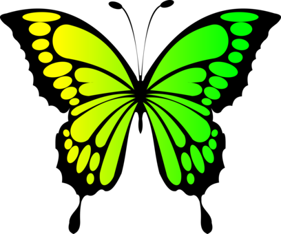 Butterfly Blue Green Purple Blue Green - Butterfly Clipart (408x340)