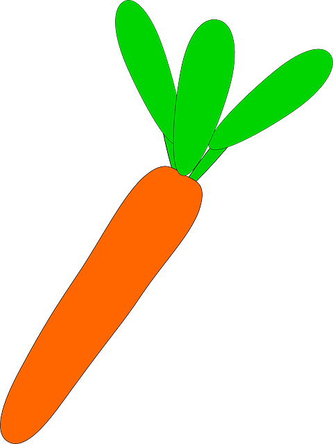 Png Transparent Library Broccoli Free On Dumielauxepices - Larawan Ng Carrot (480x640)
