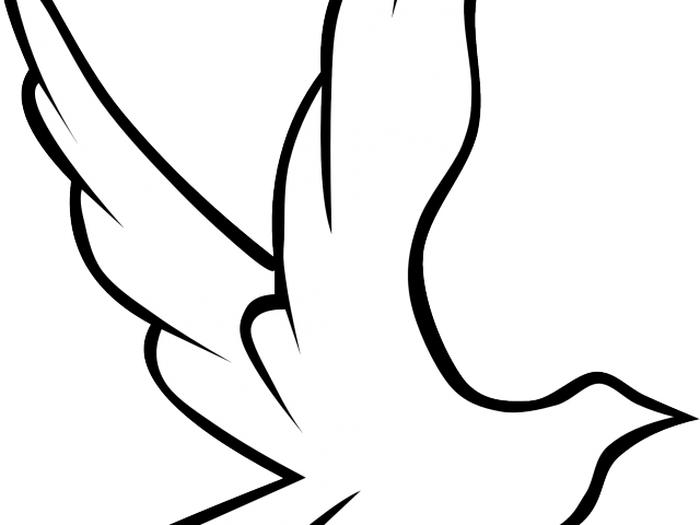 Peace Clipart Peace Logo - Dibujo De Paloma Con Rosa (640x480)