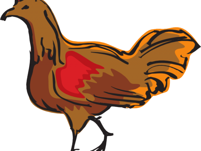 Chicken Clipart Walking - Ayam Animasi (640x480)