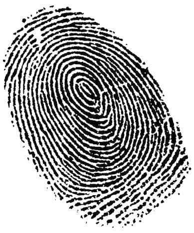 Fingerprint Png, Download Png Image With Transparent - Fingerprint Clipart (400x467)