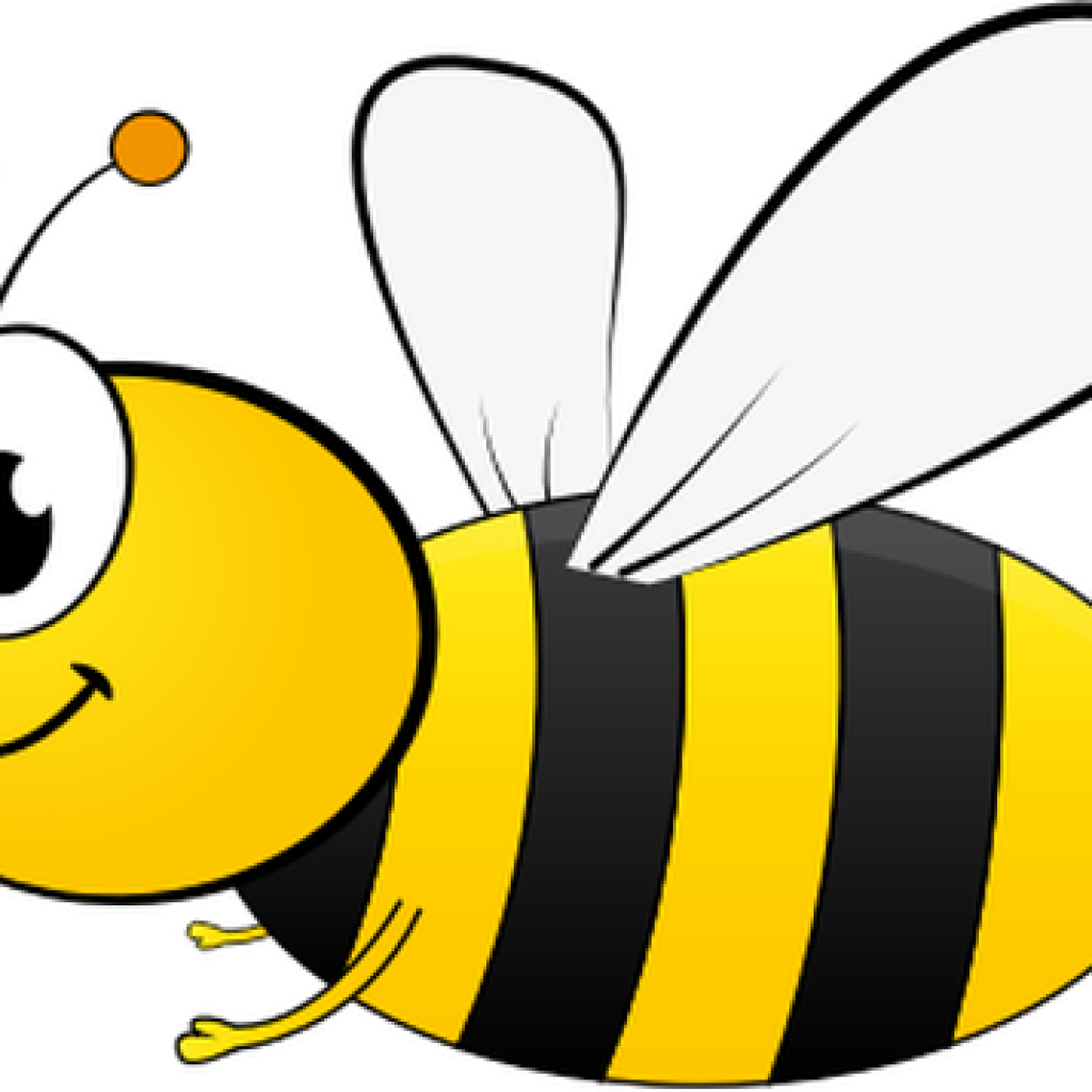 Bee Images Clip Art 100 Honey Bee Clip Art Free Public - Ultimate Guide To Beekeeping (1024x1024)