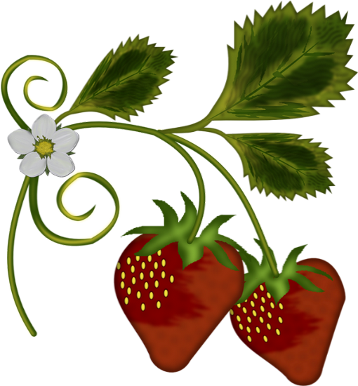Flower Border Clip Art Garden Flower Border Clip Art - Strawberry Tree Cartoon (510x550)
