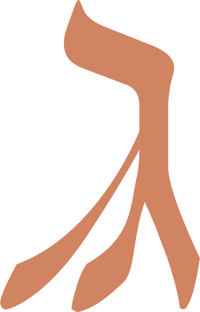 The Schneller Compound - Jerusalem Estates (701x1096)