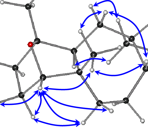 Key Noesy Correlations Observed For Compound - Correlation And Dependence (513x442)