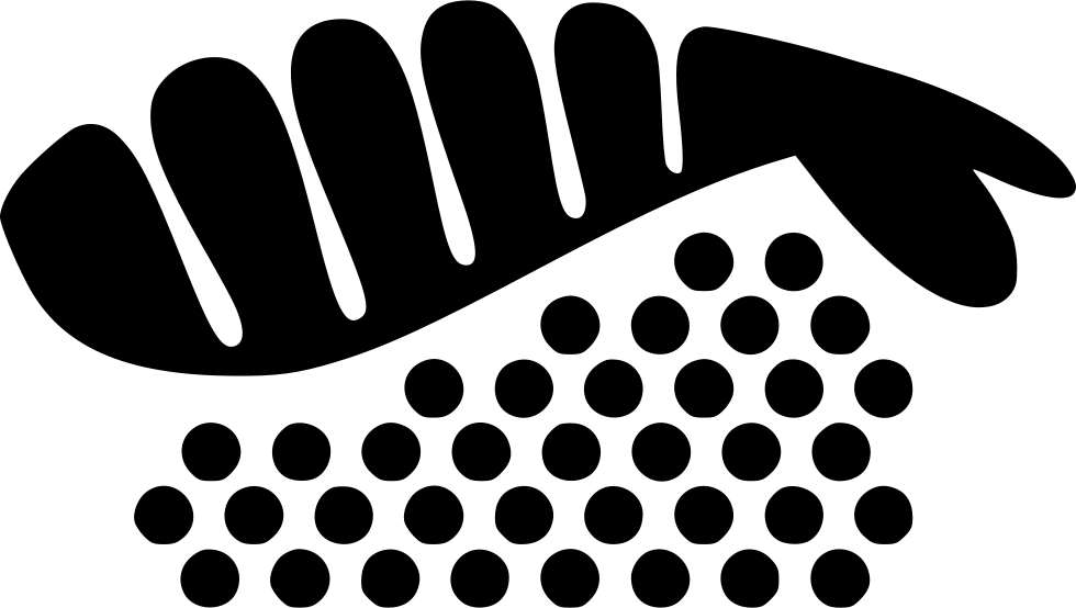 Sushi Comments - G20 2018 Summit (980x554)