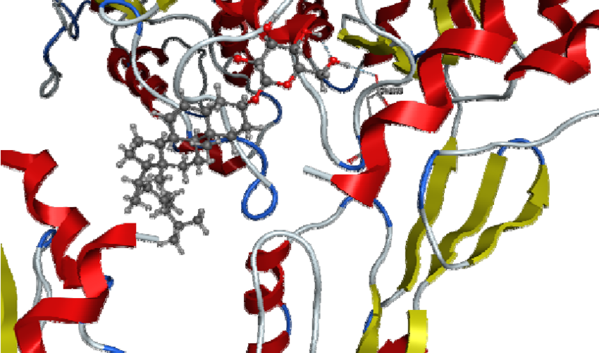 3d Representation Of Docking Of Compound C7 Into The - 3d Representation Of Docking Of Compound C7 Into The (850x501)