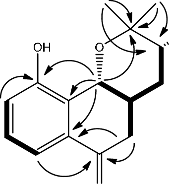 Selected Hmbc Correlations (h→c) And - Tephrosia Subtriflora (341x371)