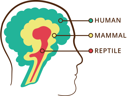 The Upshot Of This Arrangement, Dr - Triune Brain (529x400)