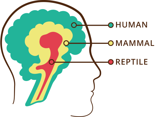Triune Brain Pure Affair Human Silhouette Clip Art - Triune Brain Pure Affair Human Silhouette Clip Art (529x400)
