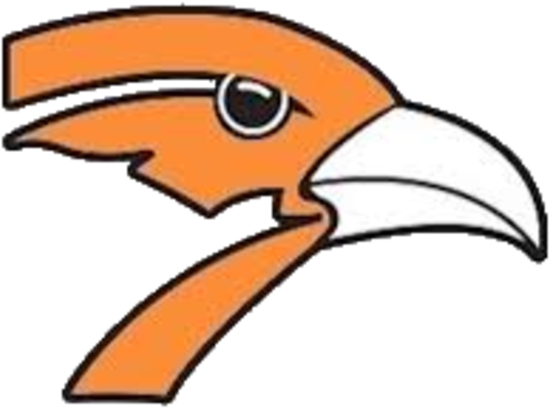 Iowa High School Football Scores - Springville Iowa Orioles (720x720)