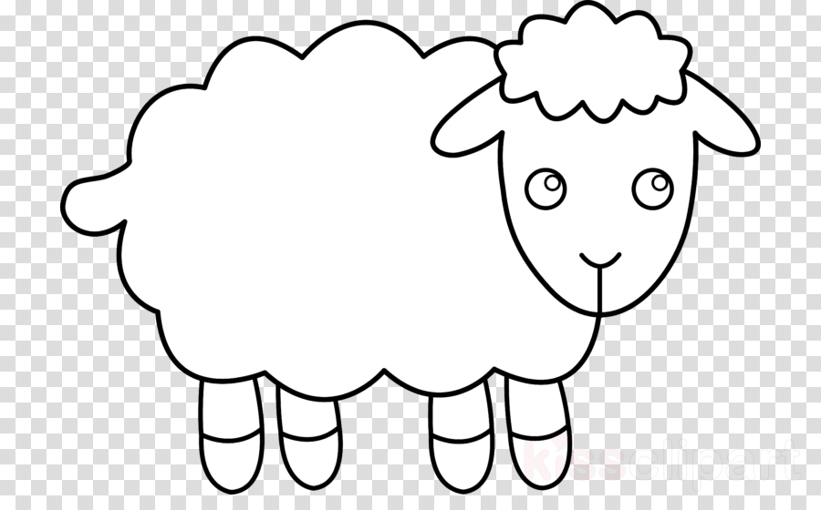 Clip Art Clipart Clip Art Couples Clip Art - Clip Art Of Sheep (900x560)