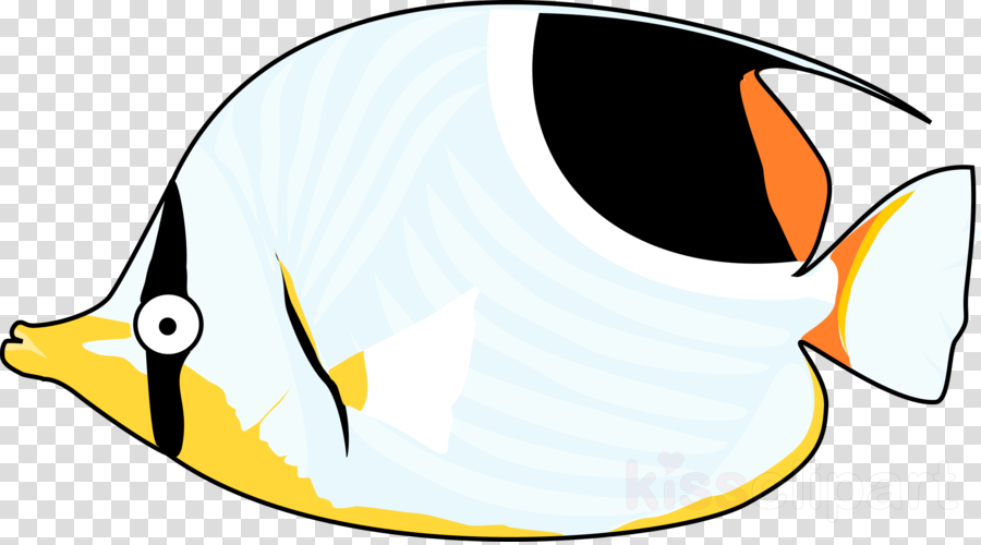 Tropical Fish Clip Art Clipart Marine Fish Tropical - Tropical Fish Clip Art Black And White (900x500)