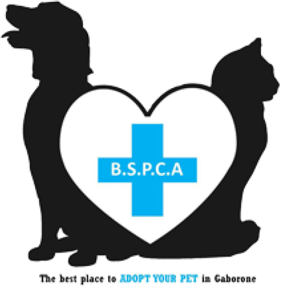 City Guide Bspca Gaborone - Cat And Dog Love Cartoon (640x640)