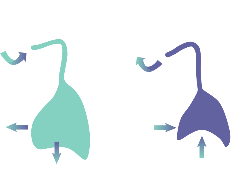 Aria Sensing Breath Monitoring - Sensor (1000x700)