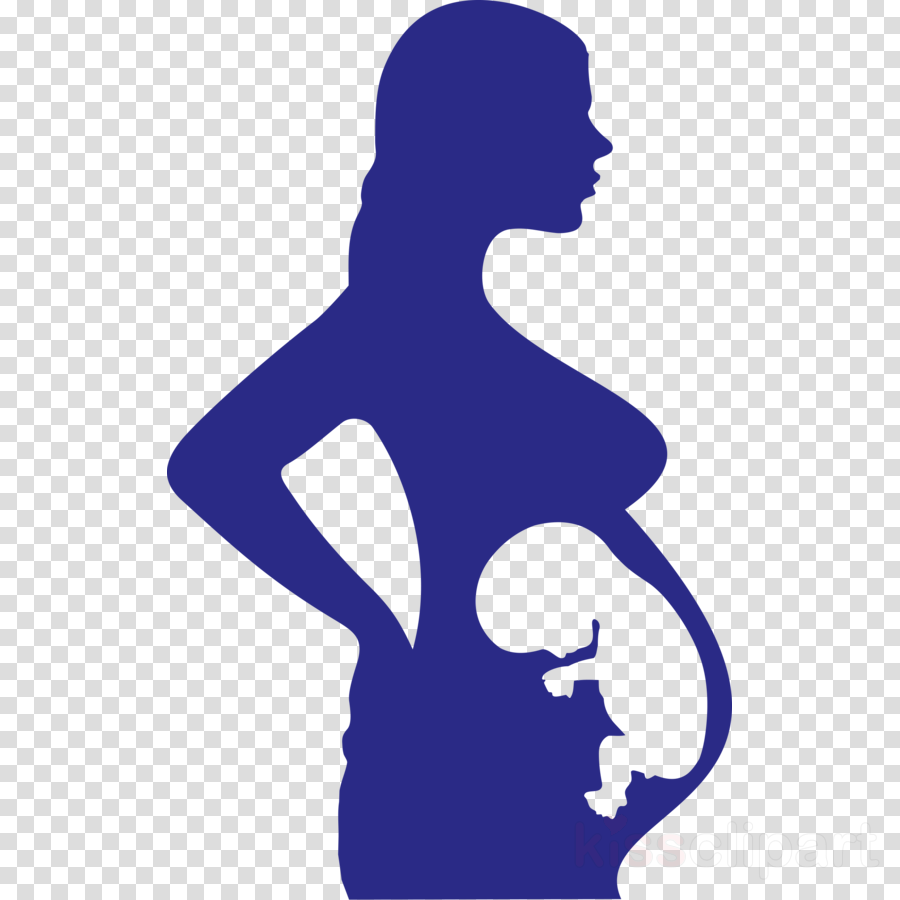 Chinese Teapot Icon Clipart Royalty-free Clip Art - Dr Watson Martin Freeman Png (900x900)