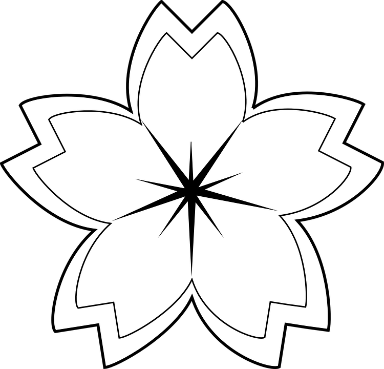 Flower, Petals, Star, Symetry - Simple Flowers Outline Designs (750x720)