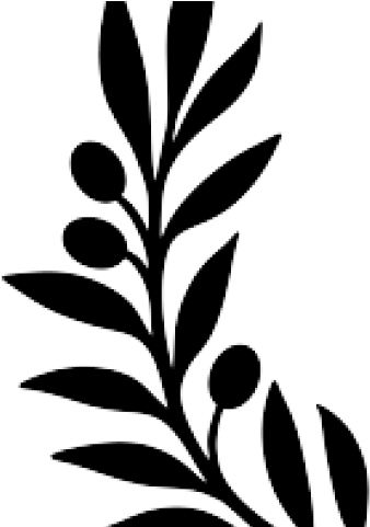 Black And White Olive Branch Clip Art (640x480)