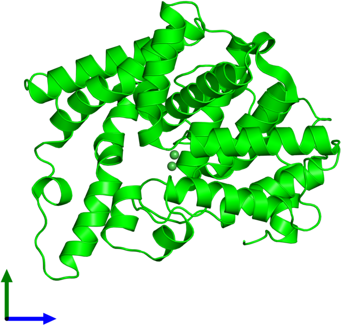 Monomeric Assembly 2 Of Pdb Entry 4msn Coloured By - Monomeric Assembly 2 Of Pdb Entry 4msn Coloured By (800x800)