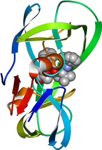 No Rotation Molmil Generated Image Of 1msn - Illustration (768x768)