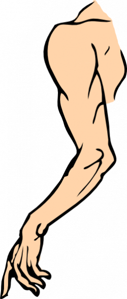 Cartoon Arms Legs Vector Png - Arm Clip Art - (250x587) Png Clipart Download Cartoon Arms Legs Vector Png - Arm Clip Art - (250x587) Png Clipart Download