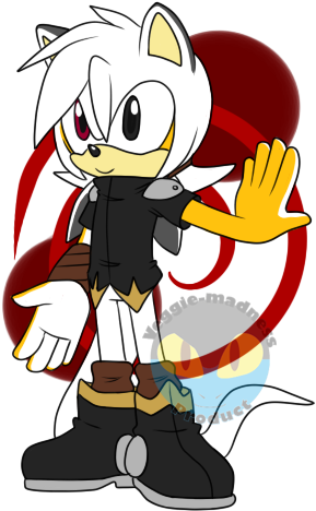 Void The Hedgehog - Sonic The Hedgehog (300x500)