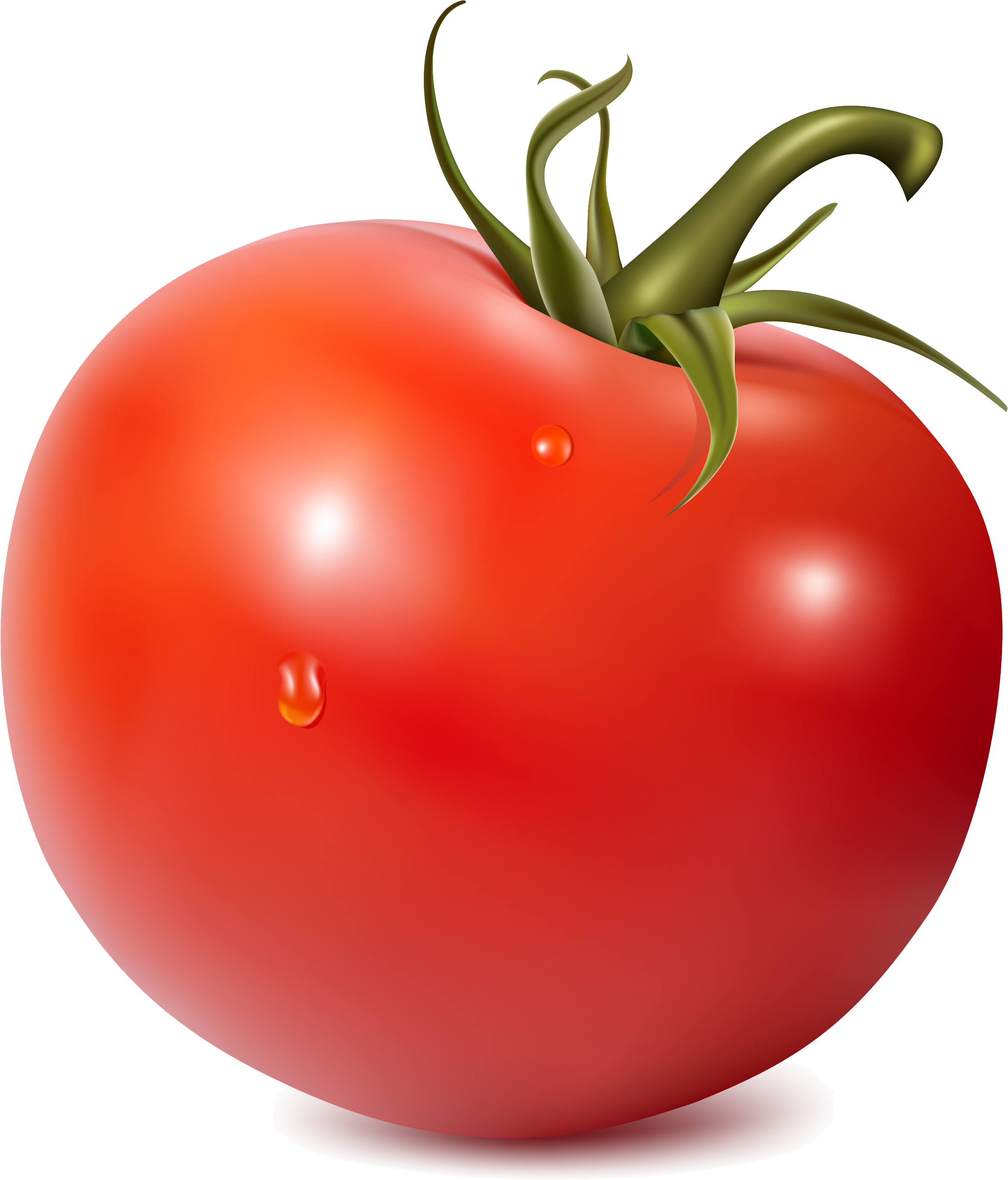 Jpg Royalty Free Stock Png Image Purepng Transparent - Simple Tomate Png (2683x3000)