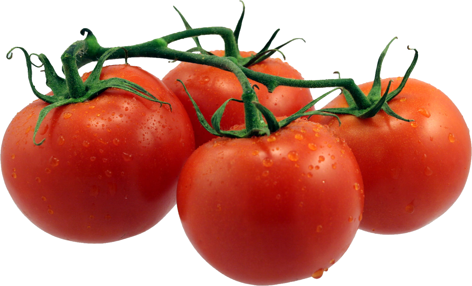 Tomato Clipart Four - Tomatoes Image Transparent Background (1502x911)