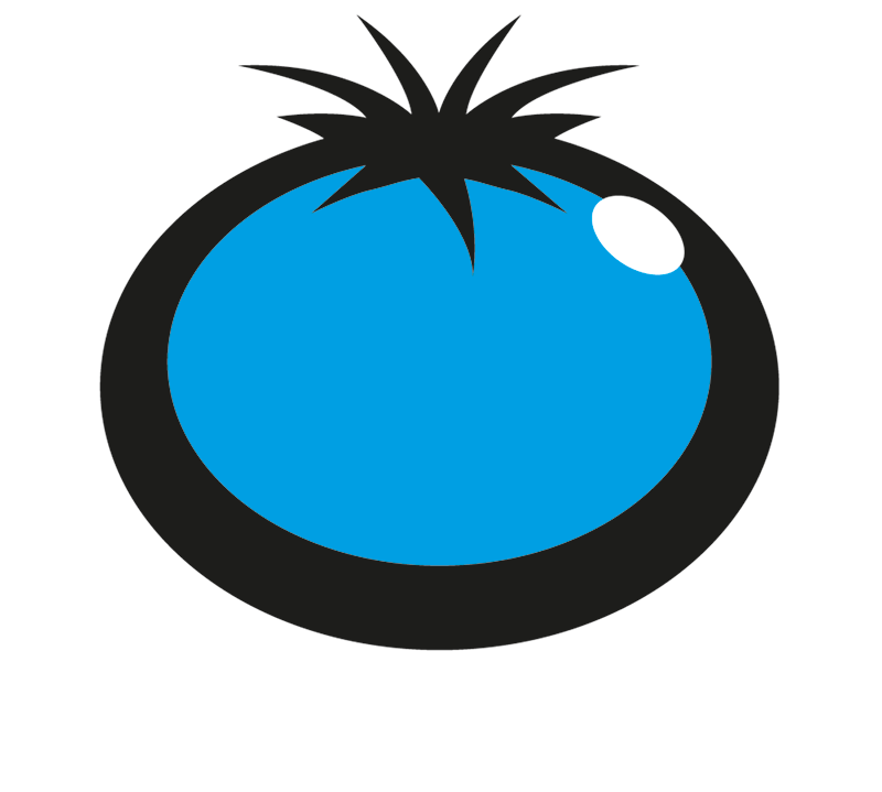 Blue Tomato Logos Com White - Blue Tomato (800x719)