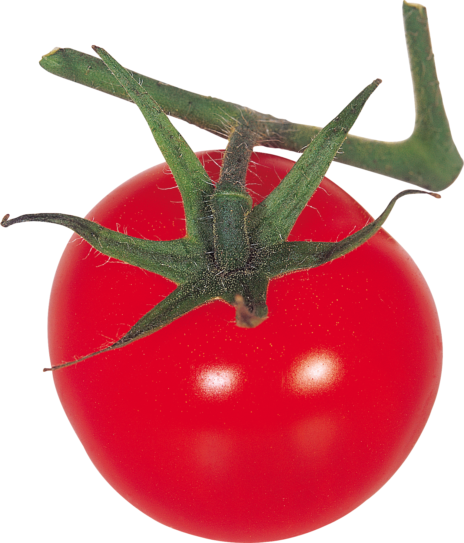 Thirty Eight Isolated Stock Photo By Nobacks - Tomato (1532x1791)