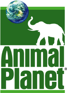 Animal Planet Channel Logo Png Clip Art Black And White - Animal Planet Channel Logo (500x350)
