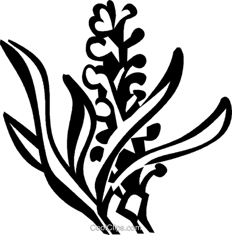 Png Stock Free On Dumielauxepices Net - Lavender Clip Art (474x480)
