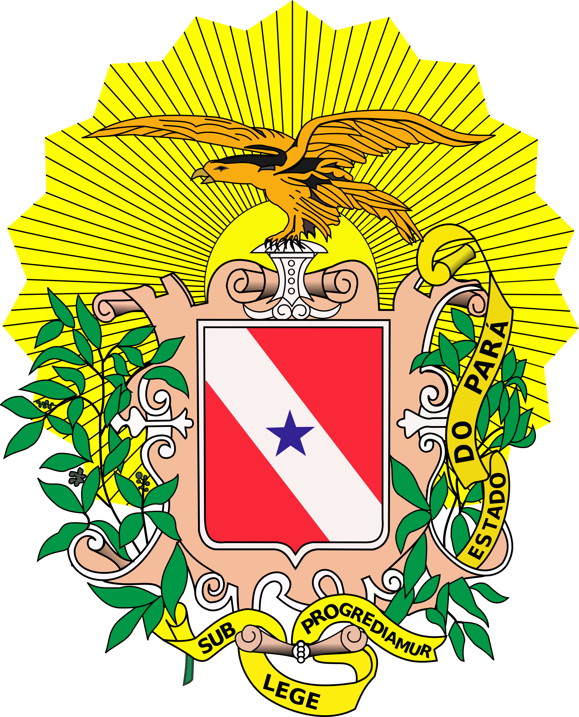 Clipart Bras U00e3o Do Estado Do Par U00e1 Clip Art - Federal University Of Pará (1936x2400)